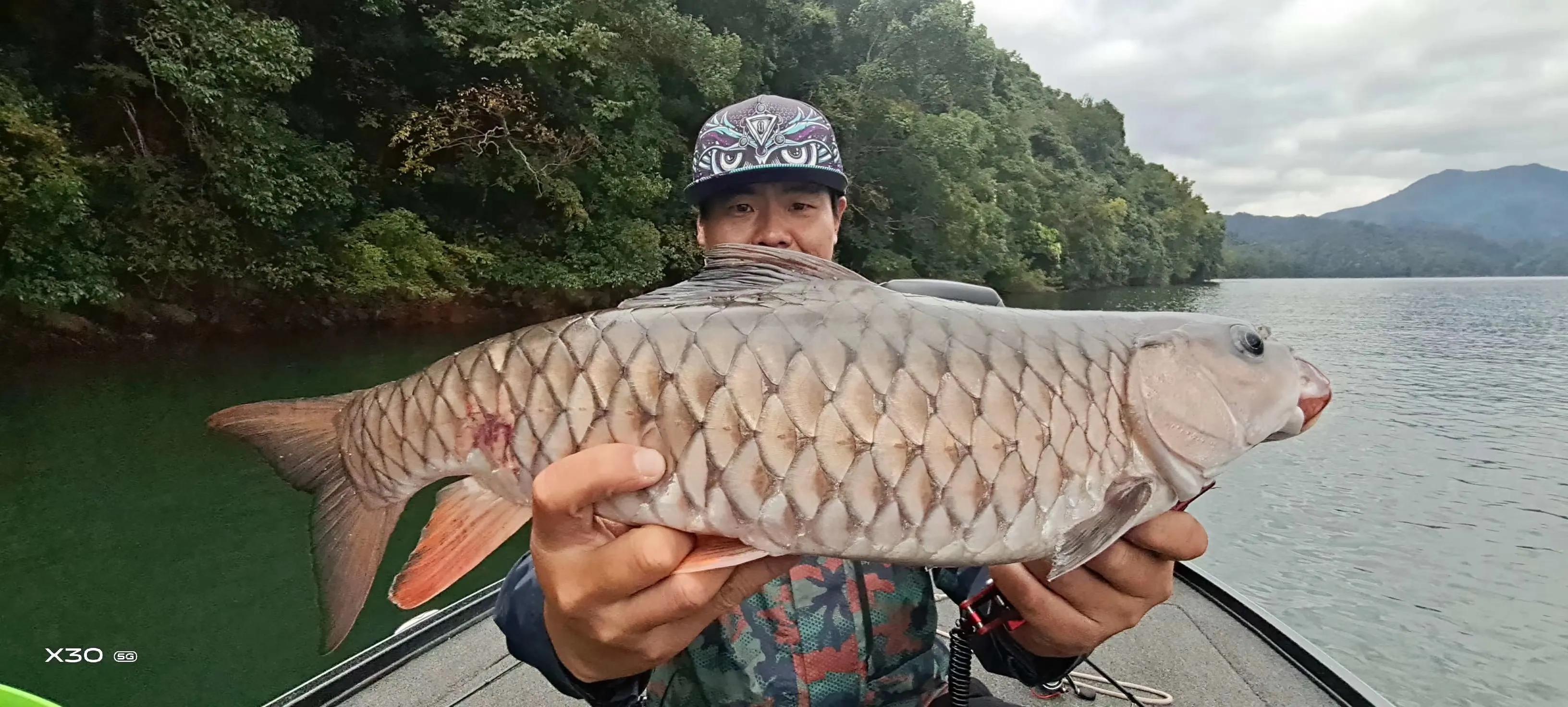 如何用路亞釣軍魚