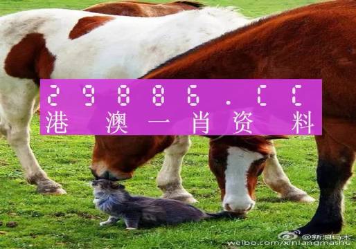 奧門(mén)一肖一碼100準(zhǔn)免費(fèi)姿料,數(shù)據(jù)解答解釋落實(shí)_W79.432