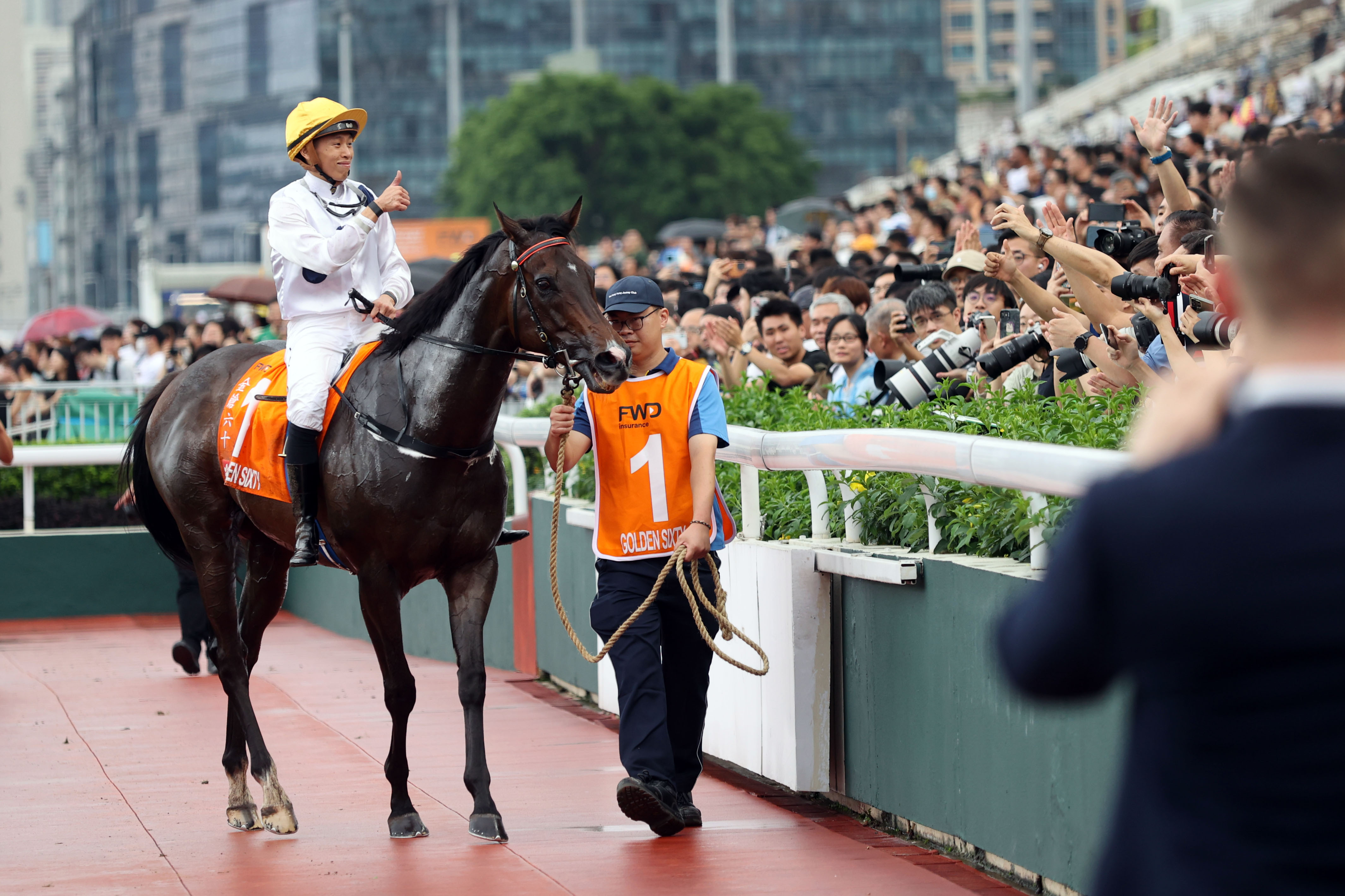 2024香港赛马全年免费资料,数据决策执行_XE版53.825