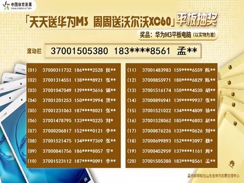 2024新澳天天彩正版免費資料,實地研究解析說明_頂級版17.753