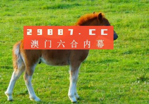 新澳今晚一肖一碼準(zhǔn)確,實(shí)證解讀說(shuō)明_Lite46.51