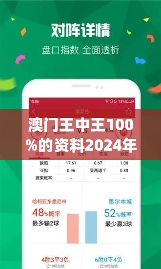 2024年新澳门王中王免费,专业解析评估_Q48.424