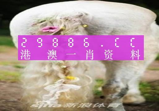 今晚必中一肖一码四不像,现状评估解析说明_SE版23.777