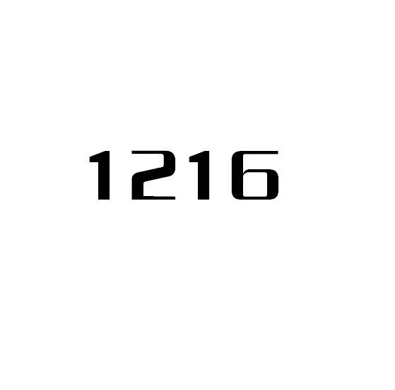 2024年12月18日 第79页