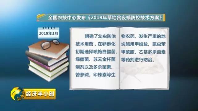 新奥今天晚上开什么,安全设计策略解析_粉丝款84.991