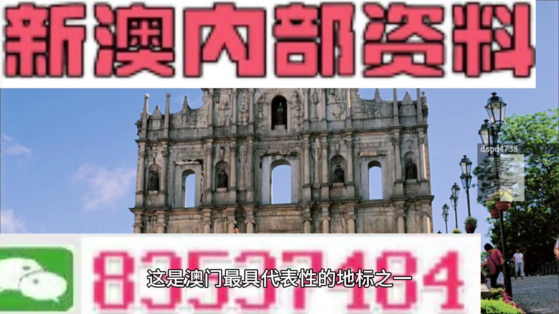 2024新澳精准免费资料,灵活操作方案_3D64.706