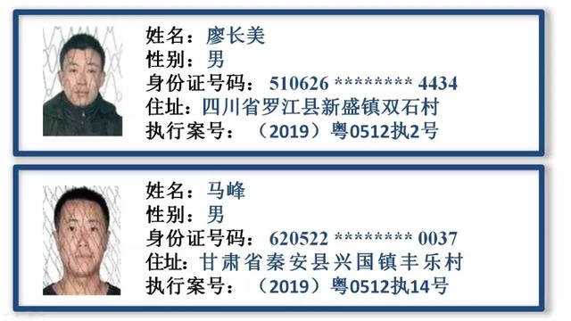 四不像正版資料,先進技術執(zhí)行分析_影像版66.893