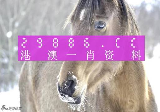 澳門(mén)一肖一碼100%精準(zhǔn),定性分析說(shuō)明_微型版82.563