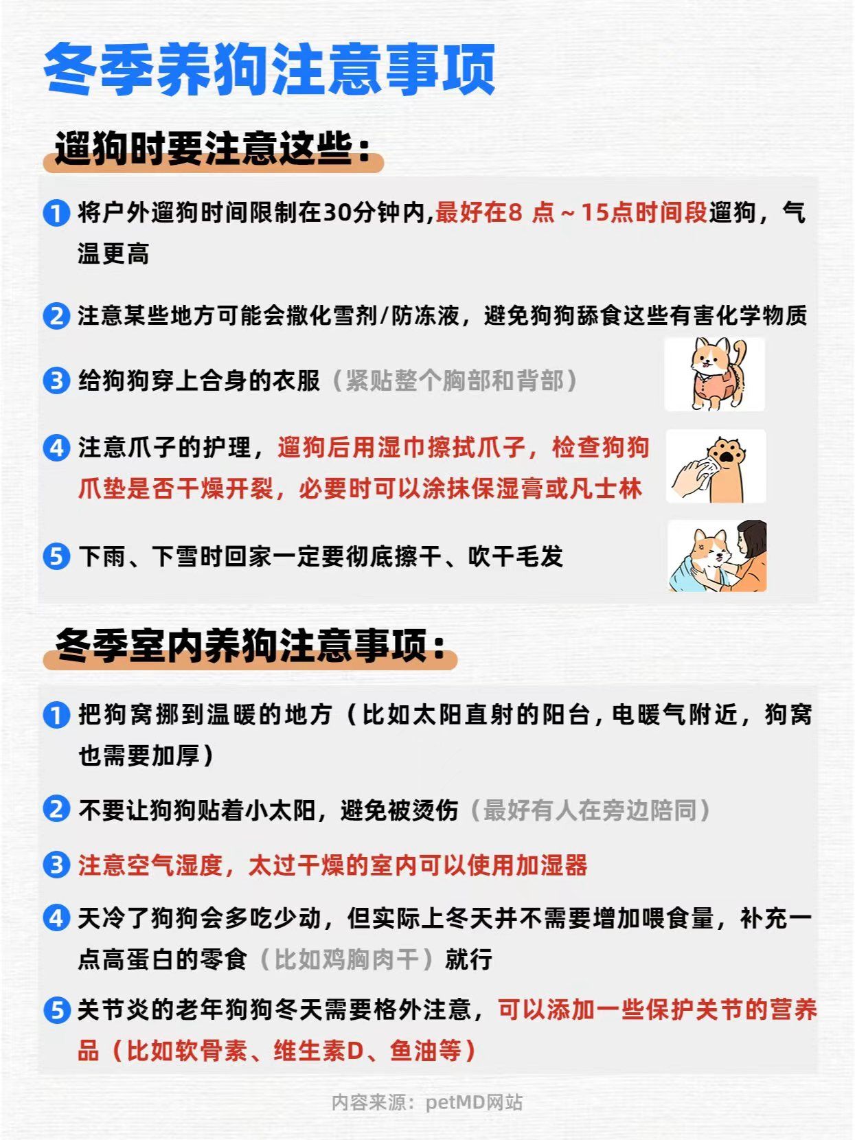 狗狗耐寒程度解析，寒冷天气下的狗狗保护与应对策略