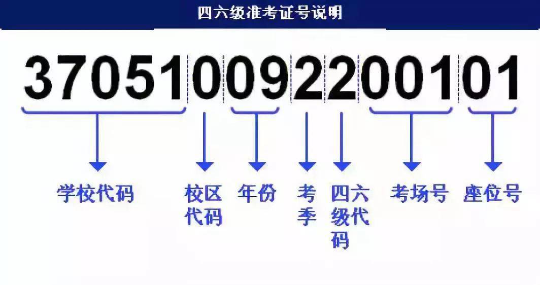 7777788888王中王开奖十记录网一,快捷问题解决指南_AR版53.427