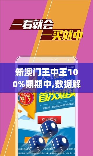 2024年新澳門王中王免費(fèi),適用解析方案_潮流版85.395