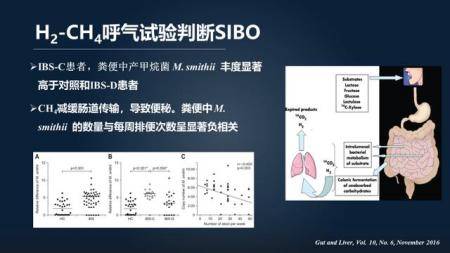 澳門平特一肖100最準一肖必中,實時解析說明_微型版70.113