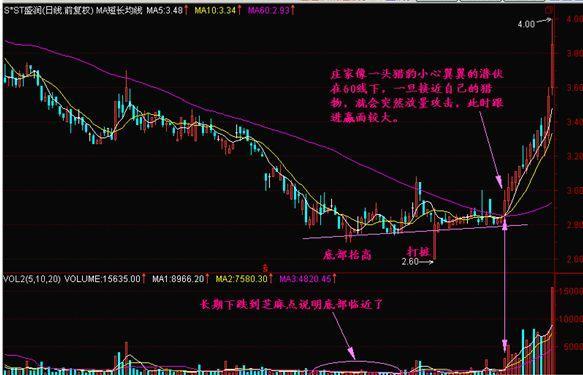 看香港正版精準特馬資料,最新正品解答落實_XE版63.690