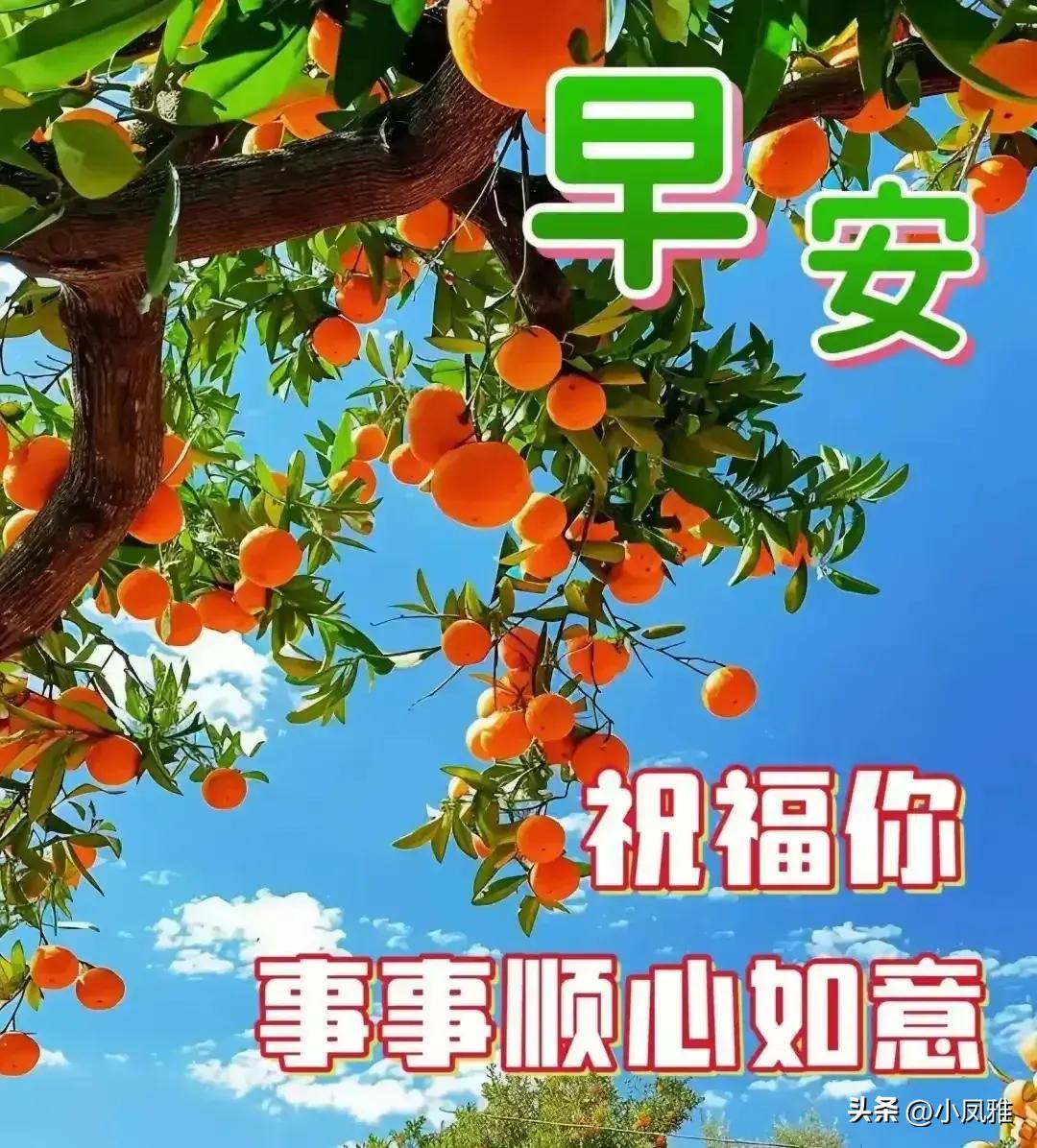 2024年天天彩免費(fèi)資料大全,市場(chǎng)趨勢(shì)方案實(shí)施_標(biāo)準(zhǔn)版90.65.32