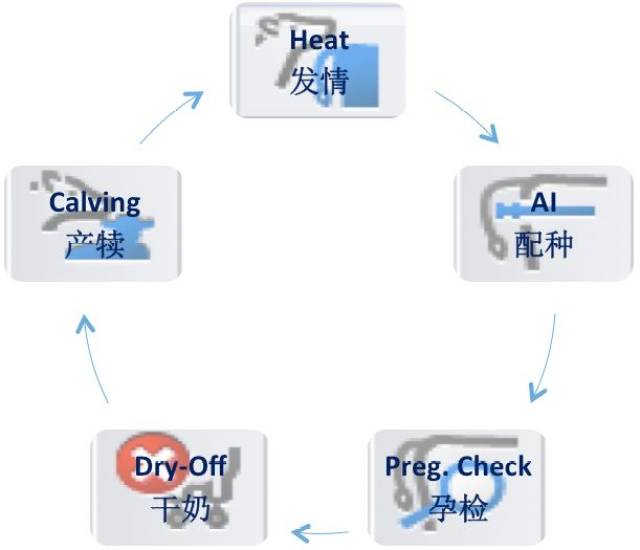 新澳門一肖中100%期期準(zhǔn)精準(zhǔn)軟件,數(shù)據(jù)分析說明_戰(zhàn)斗版65.655