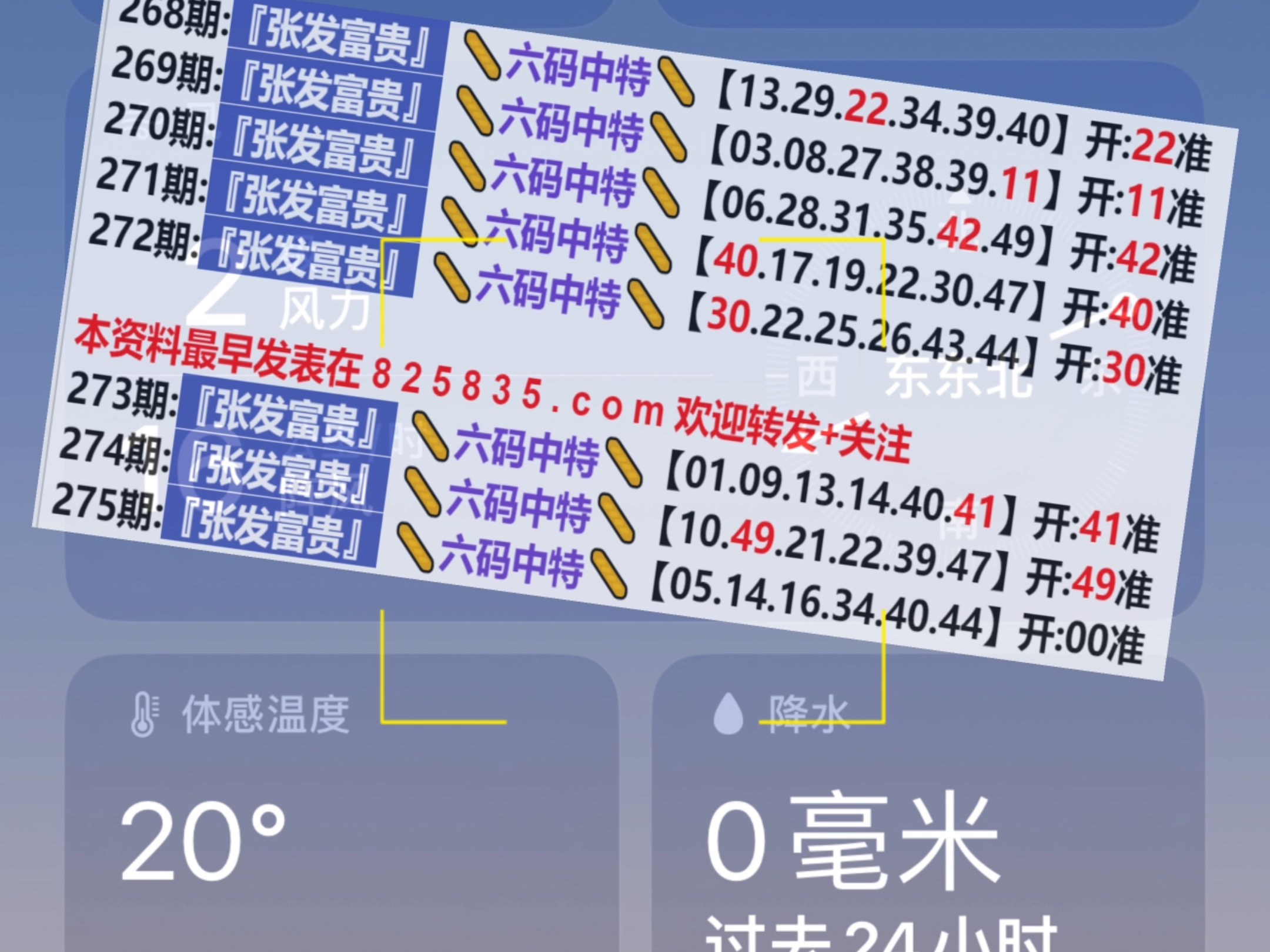 2024新奥历史开奖结果查询澳门六,长期性计划定义分析_复古版59.313