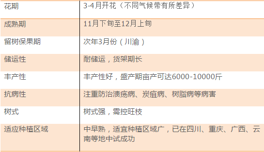 2024新澳今晚開獎(jiǎng)號(hào)碼139,實(shí)證研究解析說明_DP58.840