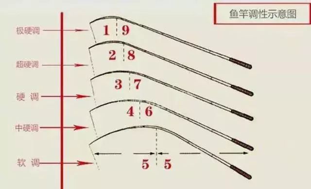 怎么看魚竿的硬度