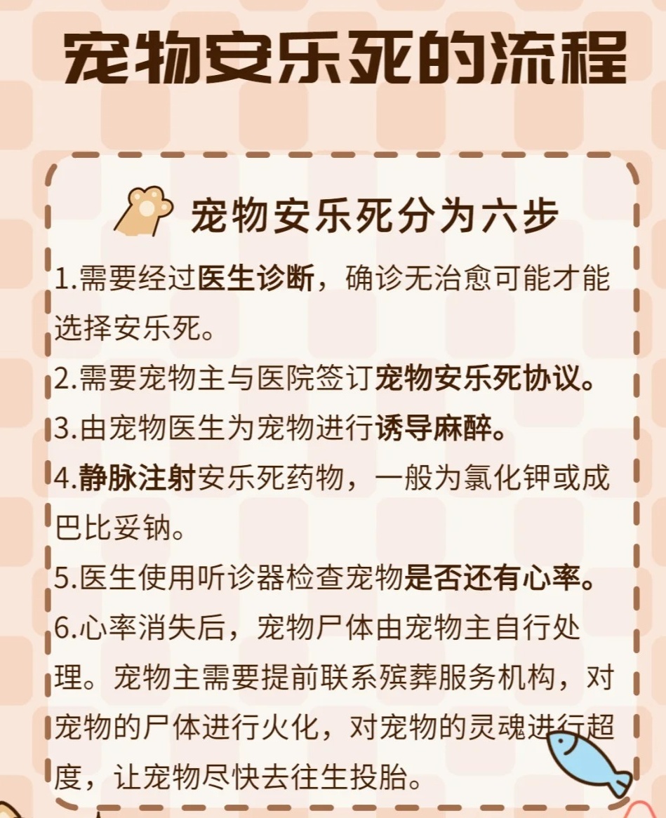 寵物醫(yī)院，理解與尊重的選擇——關(guān)于安樂死的探討