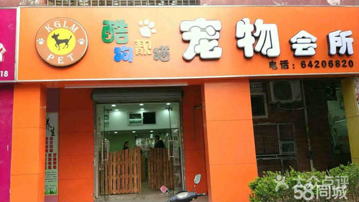 上海閔行區(qū)寵物店，都市里的寵物樂(lè)園