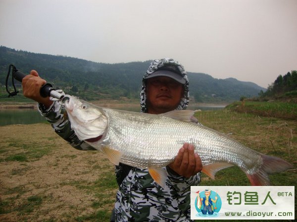 升鐘水庫與路亞，獨特之旅的探索與體驗