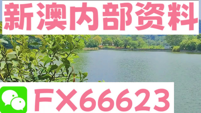 新澳免费资料精准大全,实证解读说明_HDR版79.980