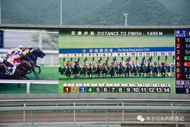 2024香港賽馬全年免費資料,安全評估策略_理財版92.259