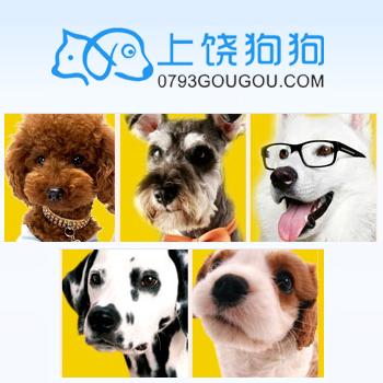 犬類世界的奧秘，狗狗百科大全，探索多樣性與獨(dú)特性