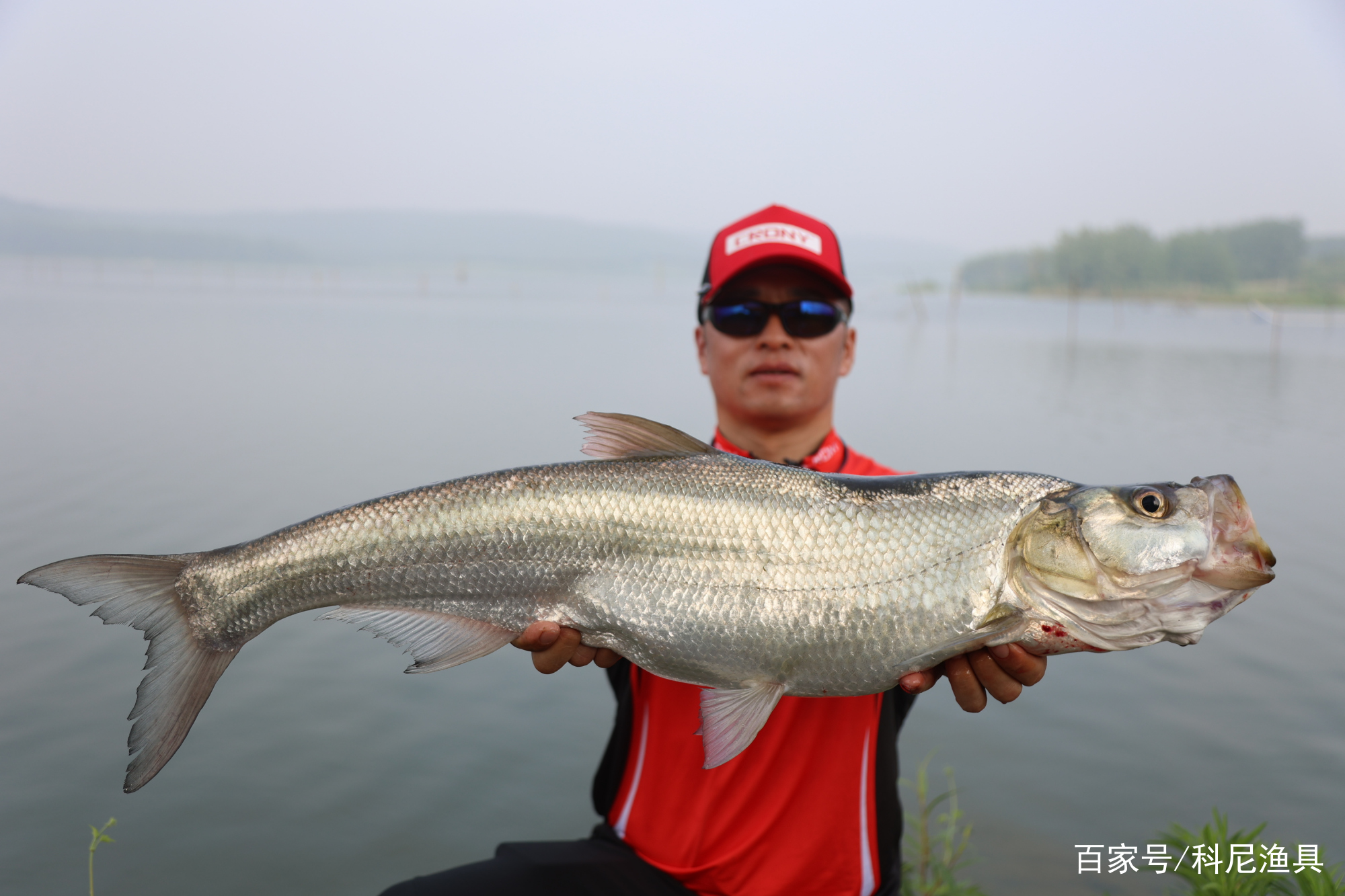 如何路亞釣翹嘴魚(yú)