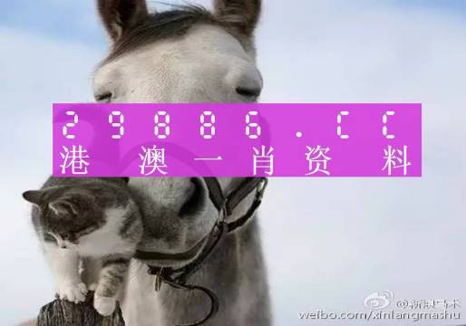 2024澳門(mén)買(mǎi)馬最準(zhǔn)網(wǎng)站,持續(xù)解析方案_Q59.633