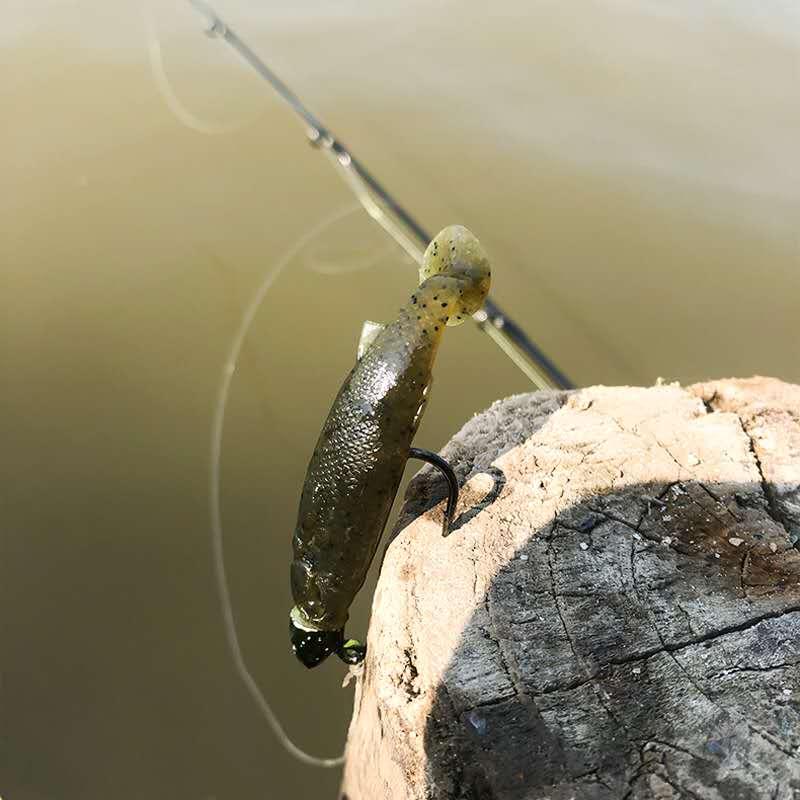 路亞釣黑魚技巧視頻