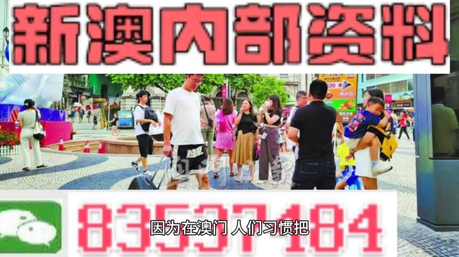 2024新澳門精準(zhǔn)資料免費(fèi)大全,功能性操作方案制定_精簡(jiǎn)版105.220