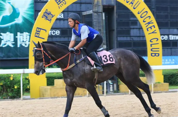 澳門今晚開特馬+開獎結果課優(yōu)勢,實地數(shù)據(jù)驗證設計_ios46.990