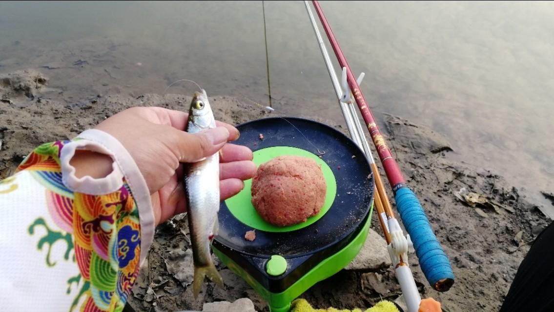 鯽魚垂釣必備神器，探索最佳魚竿選擇