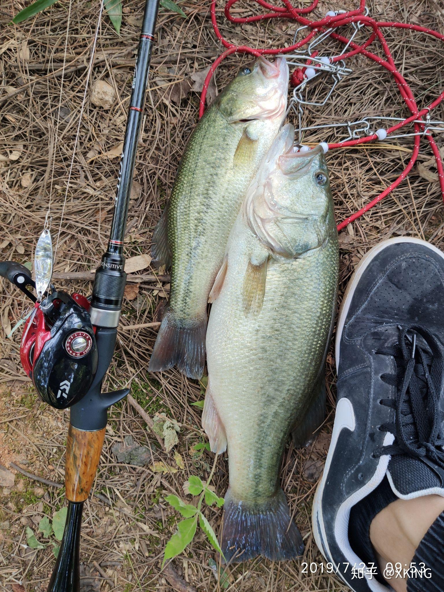 路亞竿魚餌使用指南，最佳釣魚策略與技巧探索