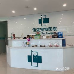 鑫海寵物醫(yī)院，寵物健康的守護(hù)者與溫馨港灣