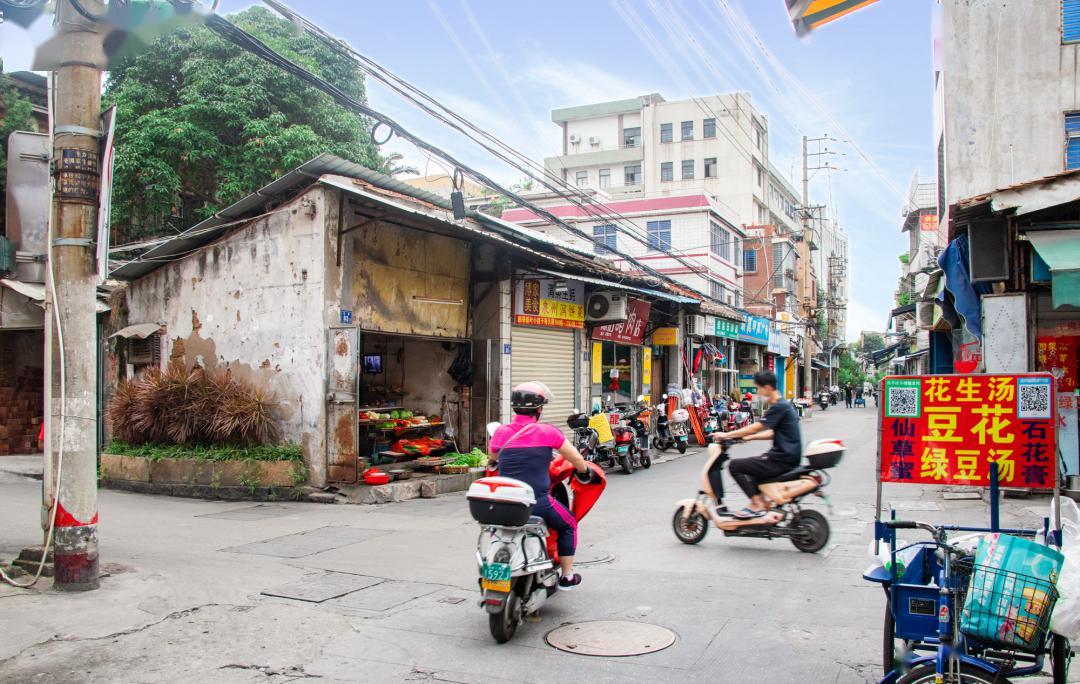 探寻泉州宠物店的繁华天地，城市中的宠物乐园