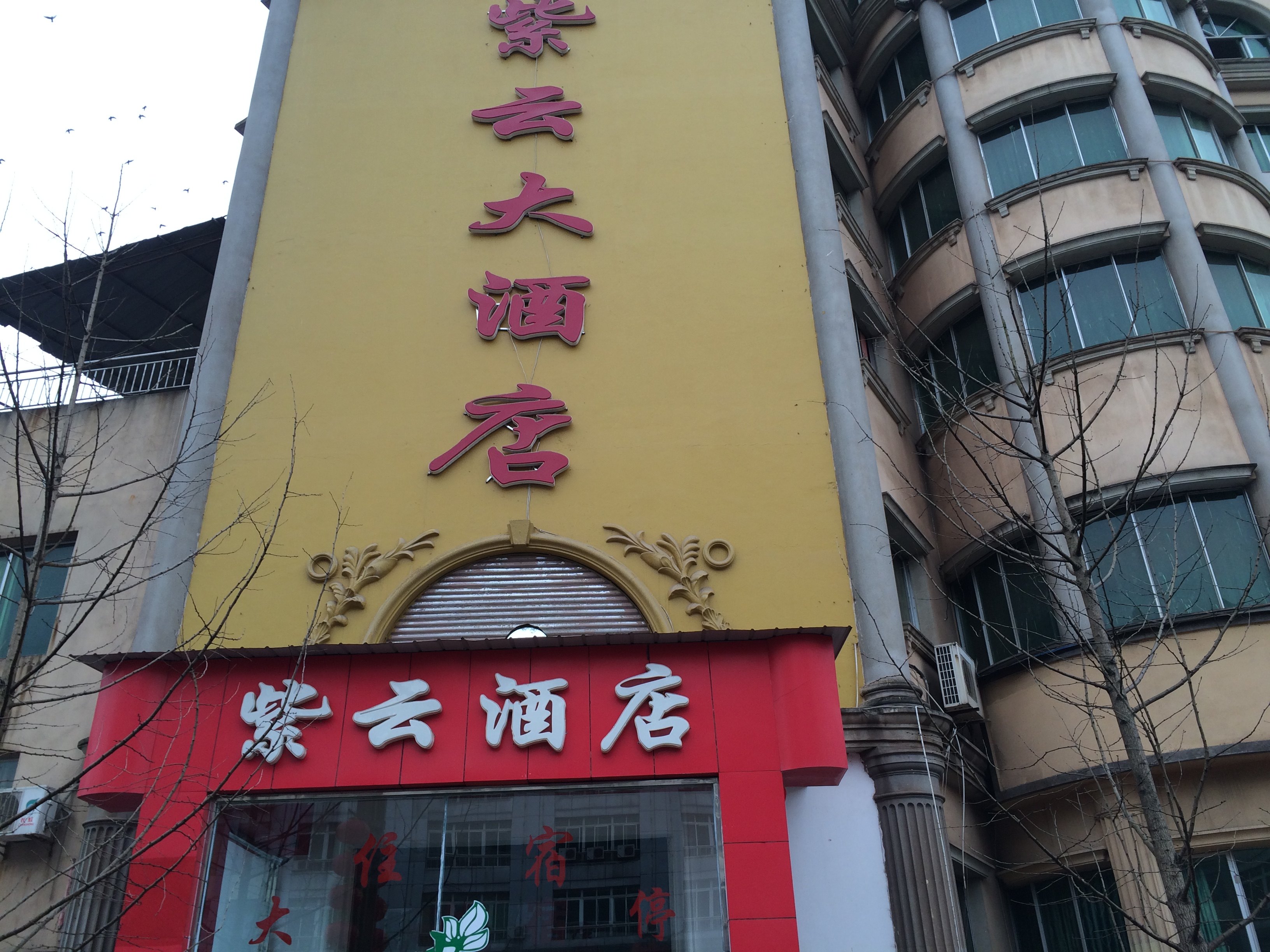 紫云酒店，卓越服务与品质的典范标杆