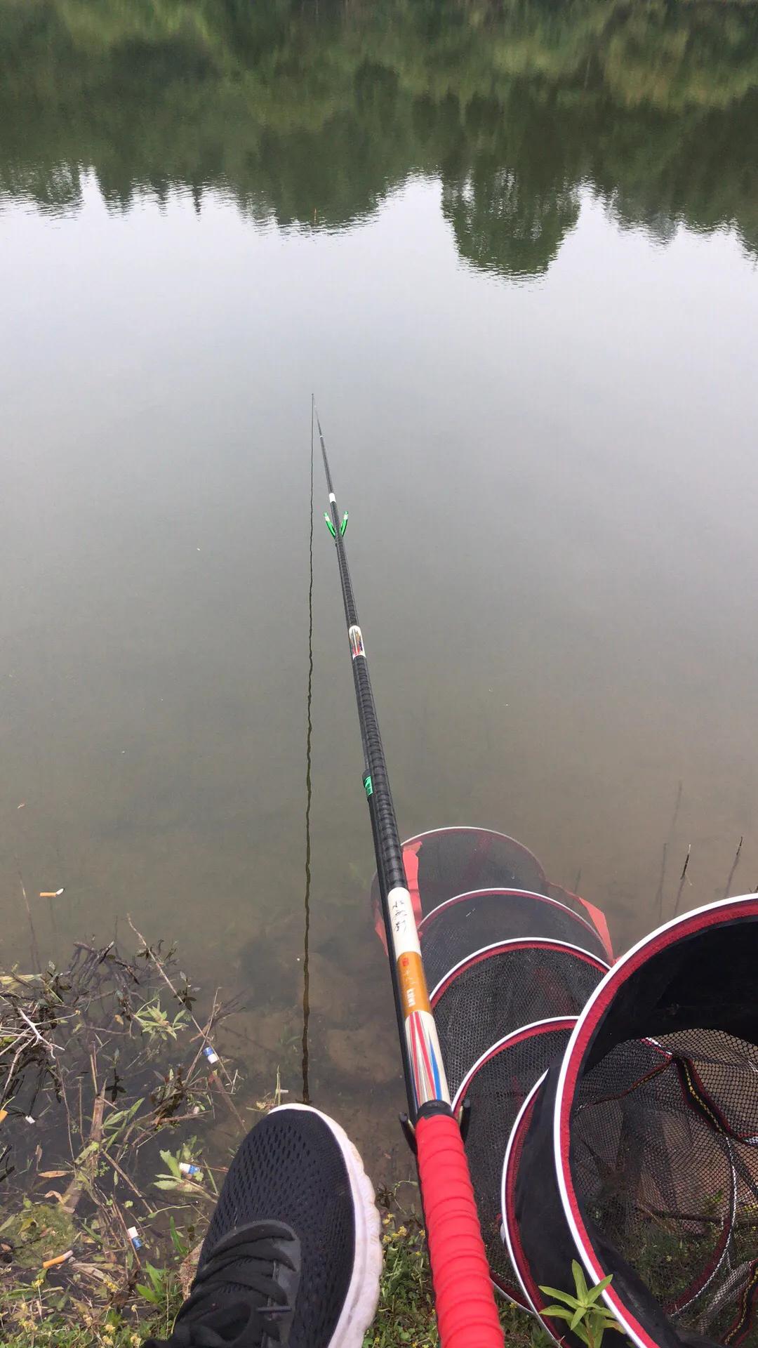 全面解析，如何識(shí)別魚(yú)竿硬度，從新手到高手的必備知識(shí)