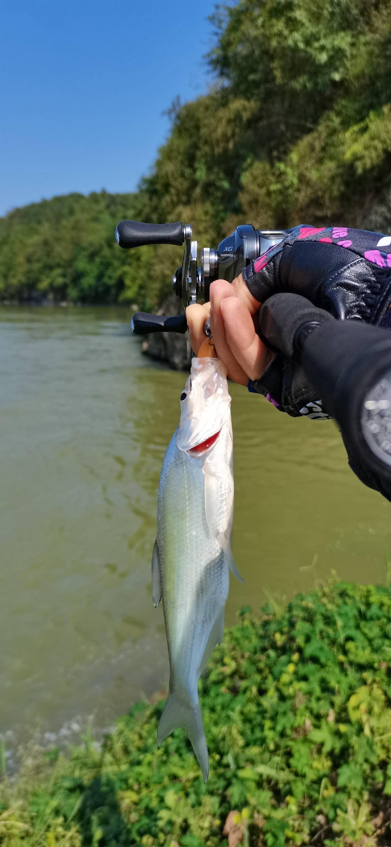 路亞游記，未知釣魚之旅的探索與發(fā)現(xiàn)