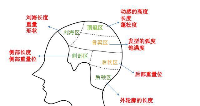 如何精準(zhǔn)分區(qū)頭發(fā)，打造完美發(fā)型的第一步技巧