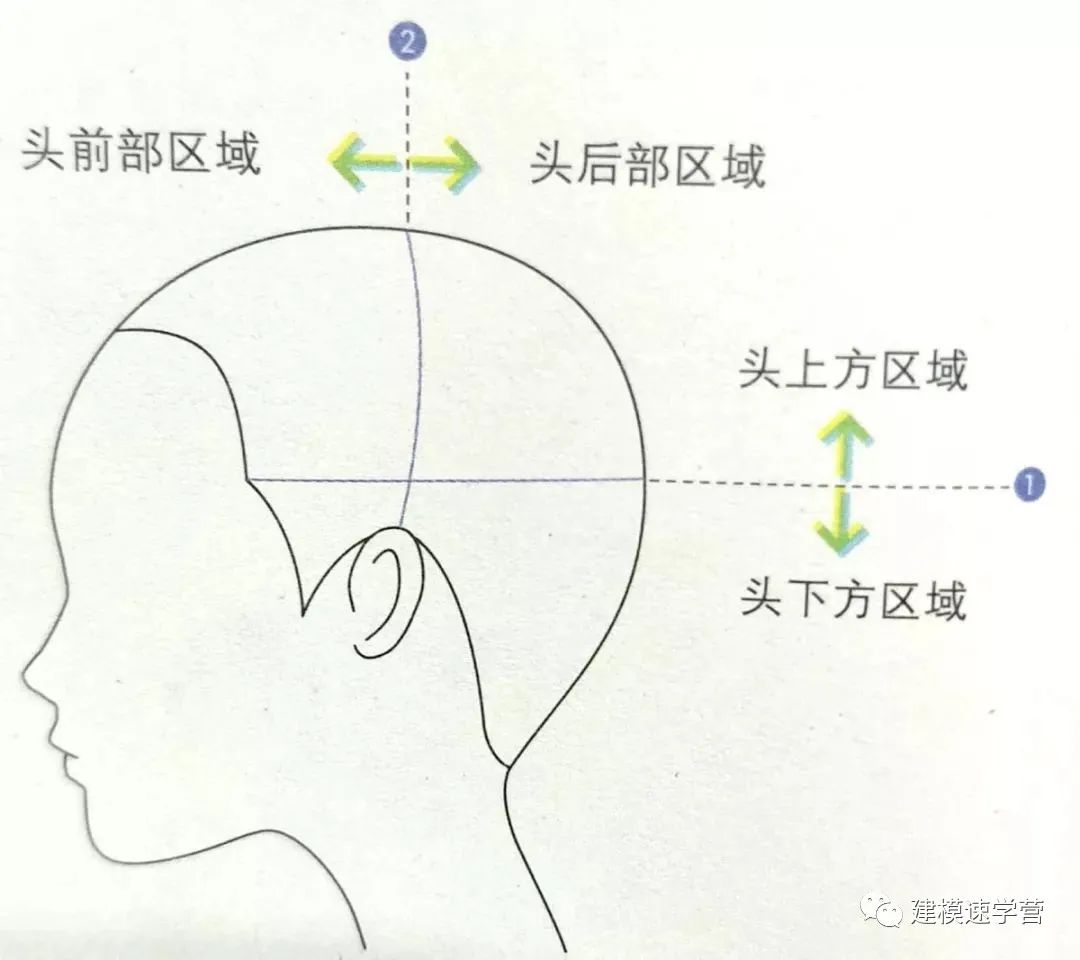 如何精準(zhǔn)分區(qū)頭發(fā)，打造完美發(fā)型的第一步技巧