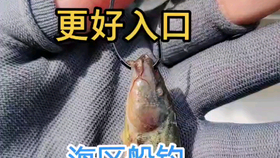 鉛頭鉤掛泥鰍路亞，獨特釣魚技巧與藝術探索