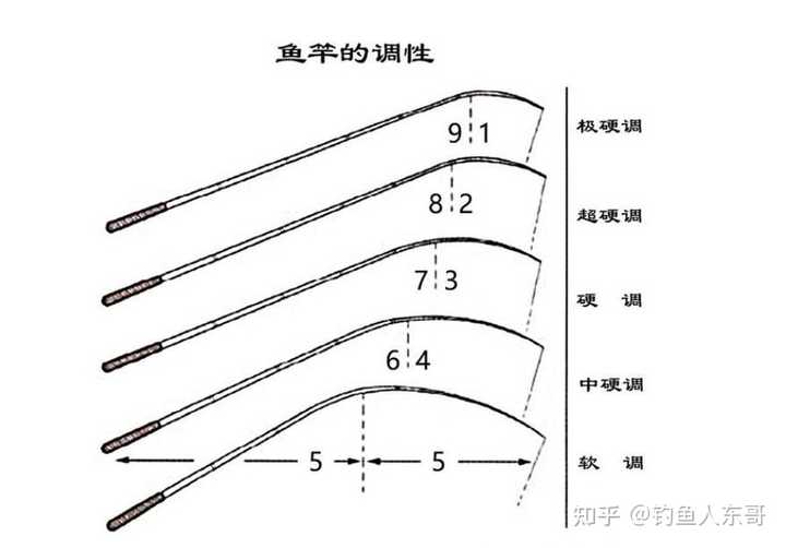 魚(yú)竿怎么分節(jié)數(shù)