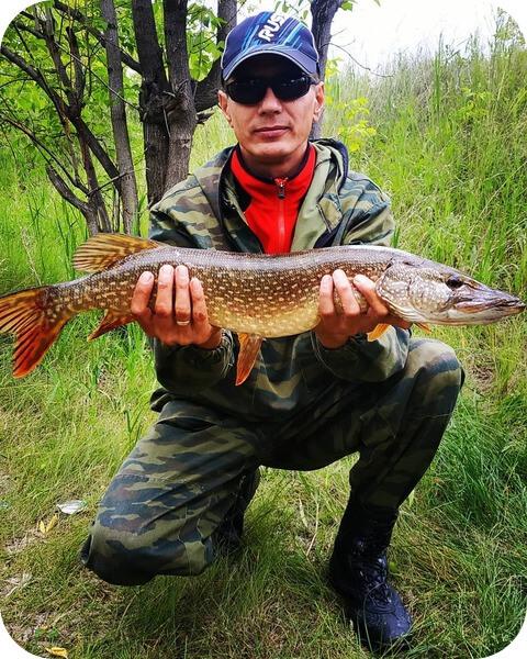 路亞能釣梭魚(yú)么