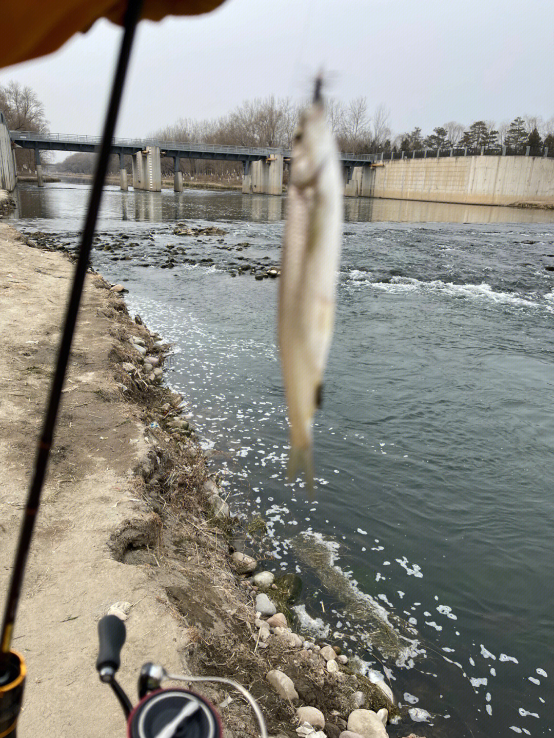 冬季路亞釣魚(yú)，探索與挑戰(zhàn)的樂(lè)趣