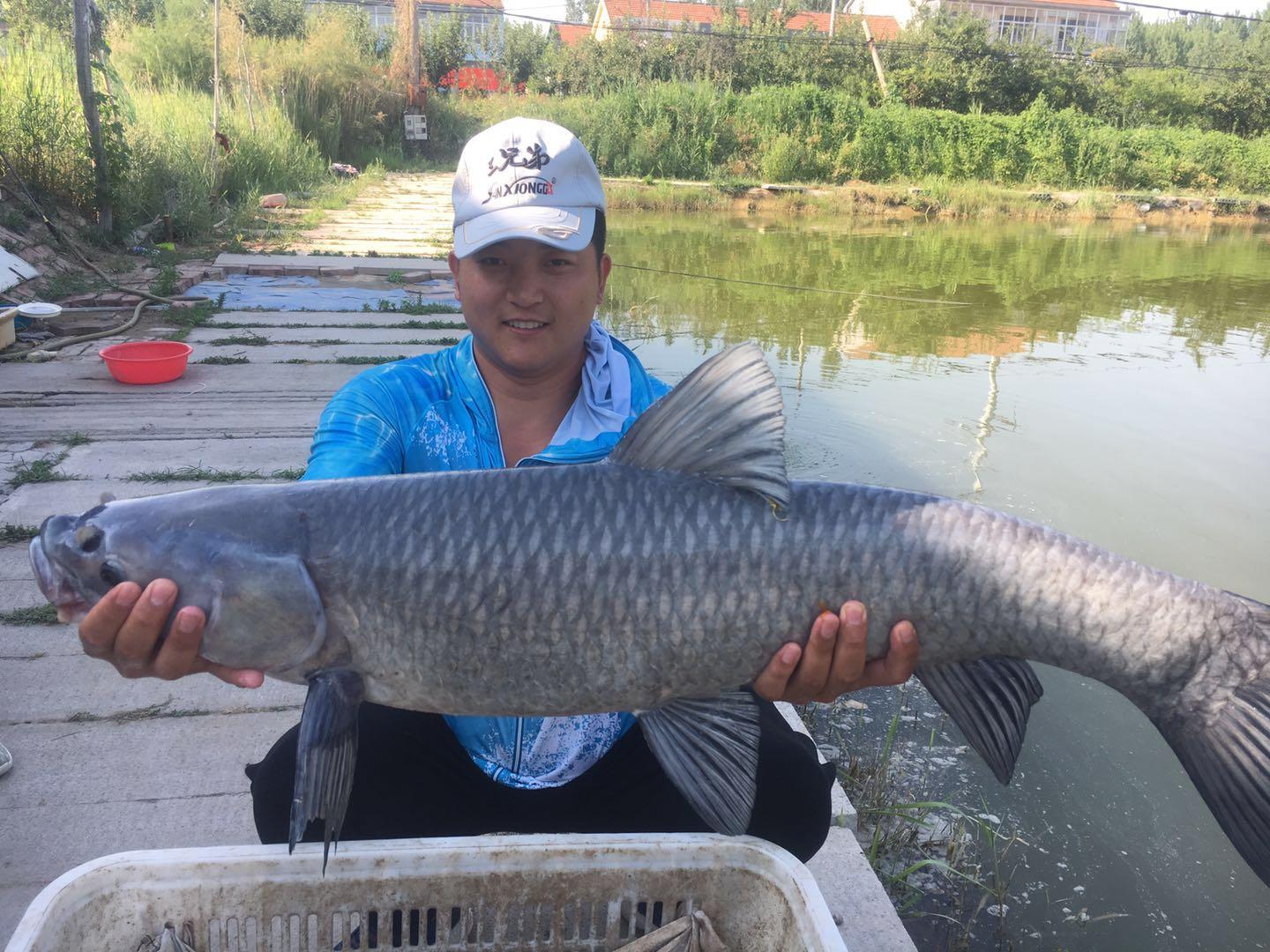 青魚(yú)大物魚(yú)竿