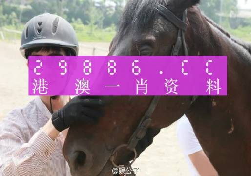 澳门今晚一肖必中特，构建解答解释落实_6j25.84.56