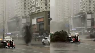 广东深圳近期降雨情况解析