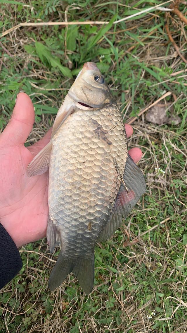 現代路亞竿子釣魚藝術技巧探索